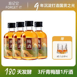 it忘记它东方青梅酒梅子酒女士低度果酒100ml Forget 小瓶酒