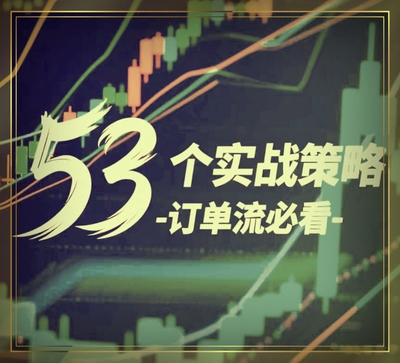 53节Mike Valtos大师亲授订单流策略课程+订单流交易实战指南
