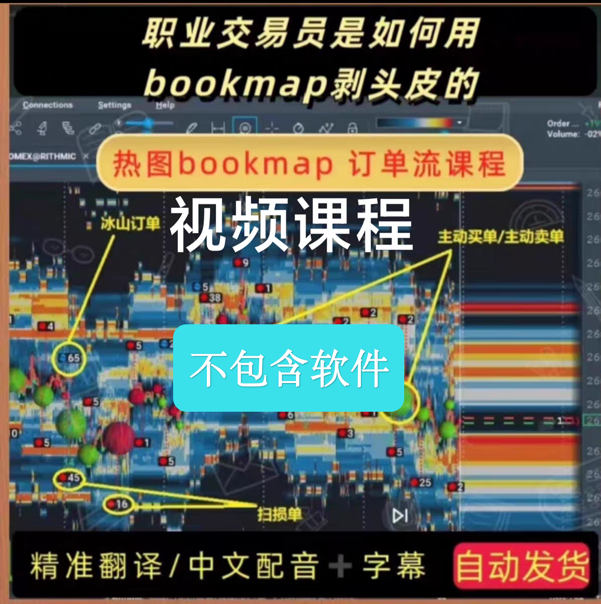 Bookmap实战课订单流交易秘籍22节中文配音+字幕课程教程