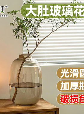 玻璃花瓶摆件客厅插花透