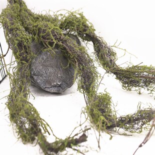 彷真苔藓树藤森系枯n藤造景装饰摆放假藤条青苔藤垂挂陈列树枝花