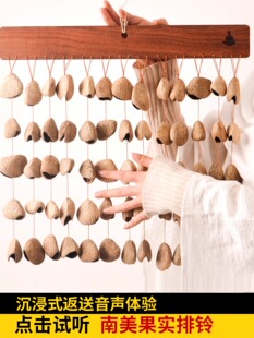 梵木果果壳音束果实摇铃天然植物手摇铃静心音乐会伴奏摆件自然音