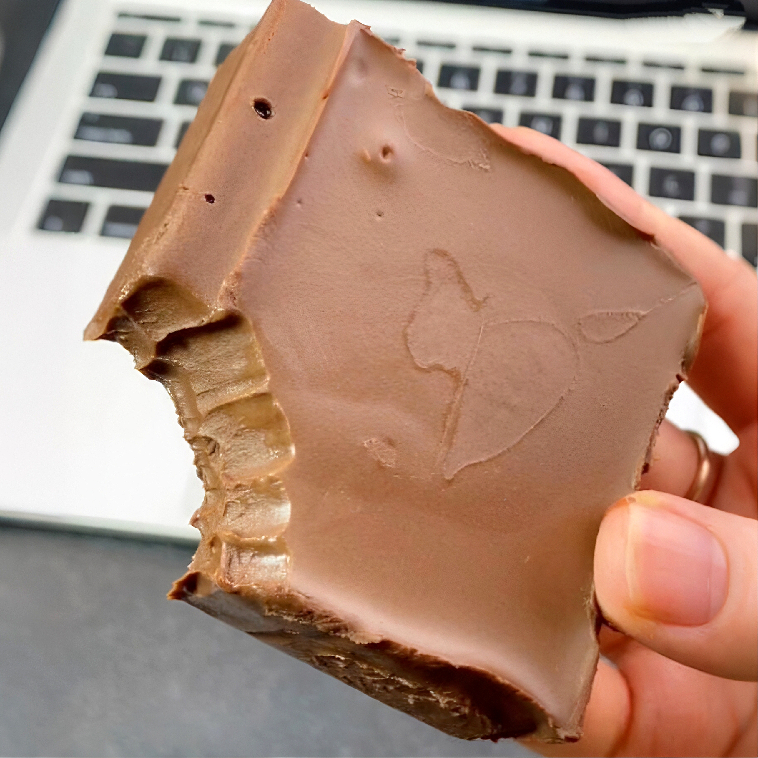 动物奶油MCT巧克力熔岩糕点罐子