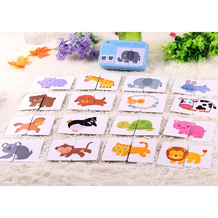 铁盒早教配对卡ZSB02 宝宝启蒙认知0-3岁识字卡玩具0.15字母CE66