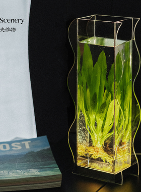 风光作物有光水草氛围灯触控插电常亮室内装饰乔迁生日礼物