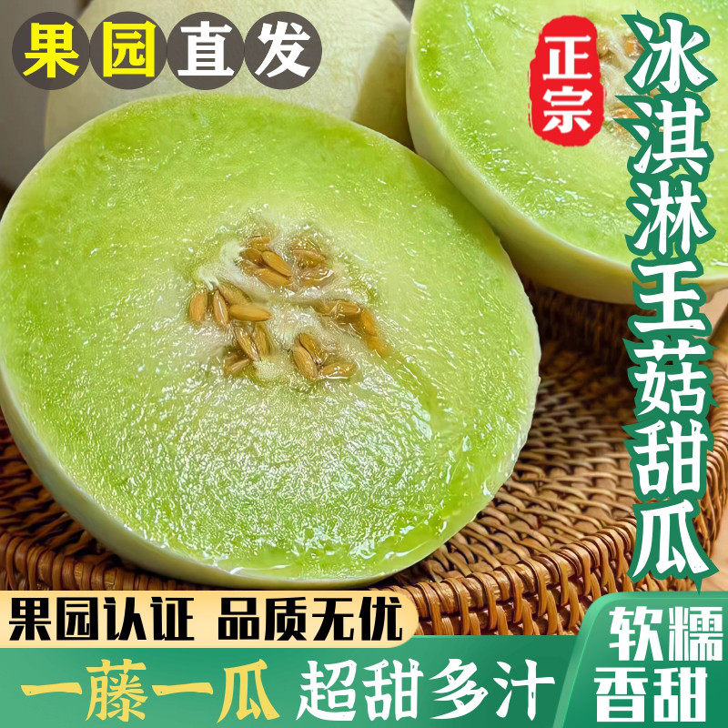 正宗玉菇甜瓜冰激凌口感奶香甜瓜新鲜现摘应季水果【农场认证】