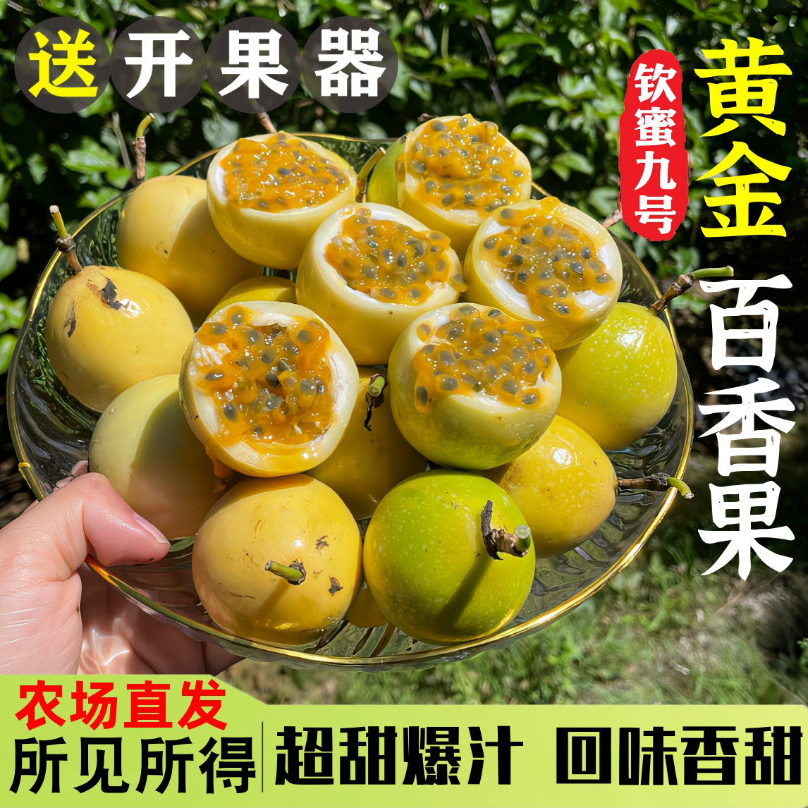 树熟纯甜！正宗钦蜜九号百香果！图片