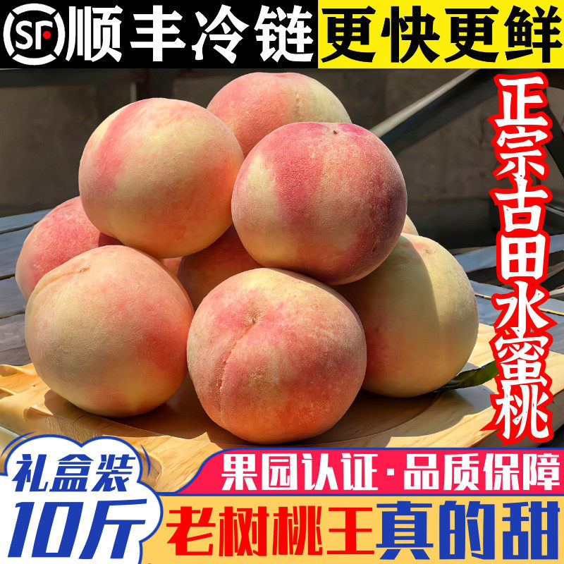 正宗古田水蜜桃白凤桃福建脆甜大桃子当季新鲜水果礼盒装【精品】