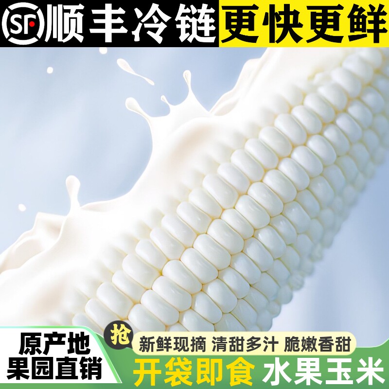 爆浆牛奶玉米水果玉米现摘玉米甜白玉米冰糖代餐新鲜采摘可以生吃