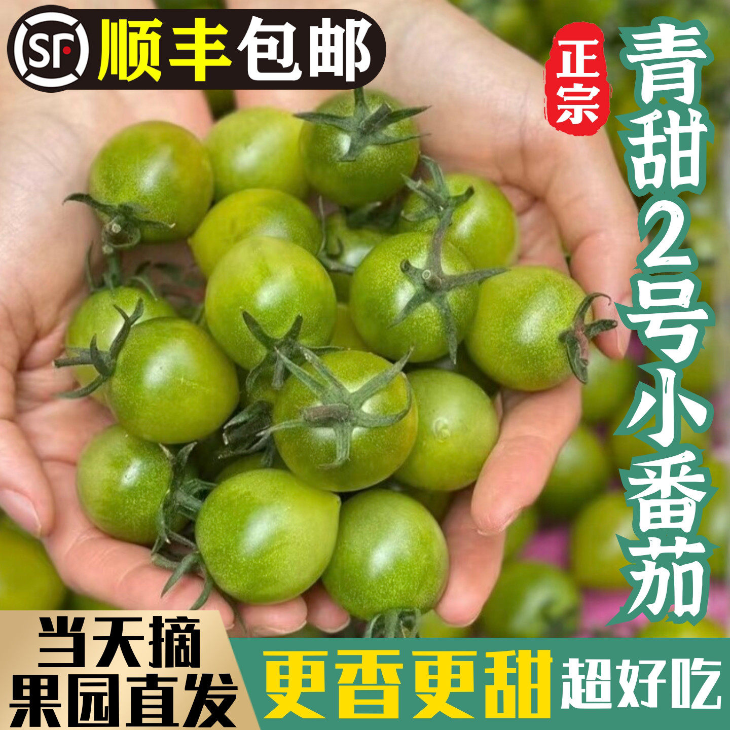 琥珀青甜2号青口蜜小番茄圣女果西红柿千禧果新鲜现摘【精品果】
