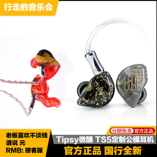 Tipsy微醺TS5有线hifi入耳式耳机Super5单元动铁定制监听舞台耳返