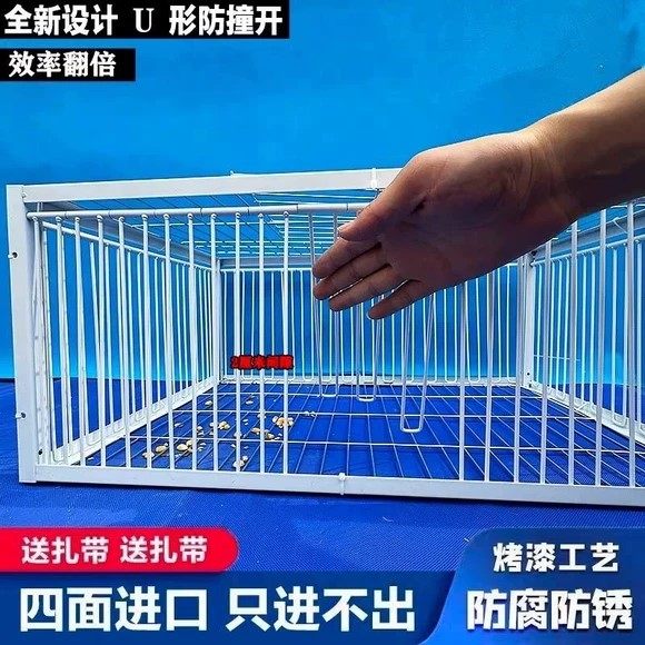 户外捕鸡神器全自动天落笼四面撞门只进不出养鸽笼鸟笼收抓加密网