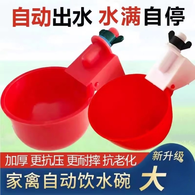 大号鸡鸭鹅自动饮水器饮水碗鸽子鹌鹑喂喝水碗家禽鸡用自动饮水器