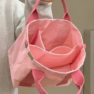 2025新款托特包女多隔层帆布手提便当小包遛娃妈咪包母婴外出轻便