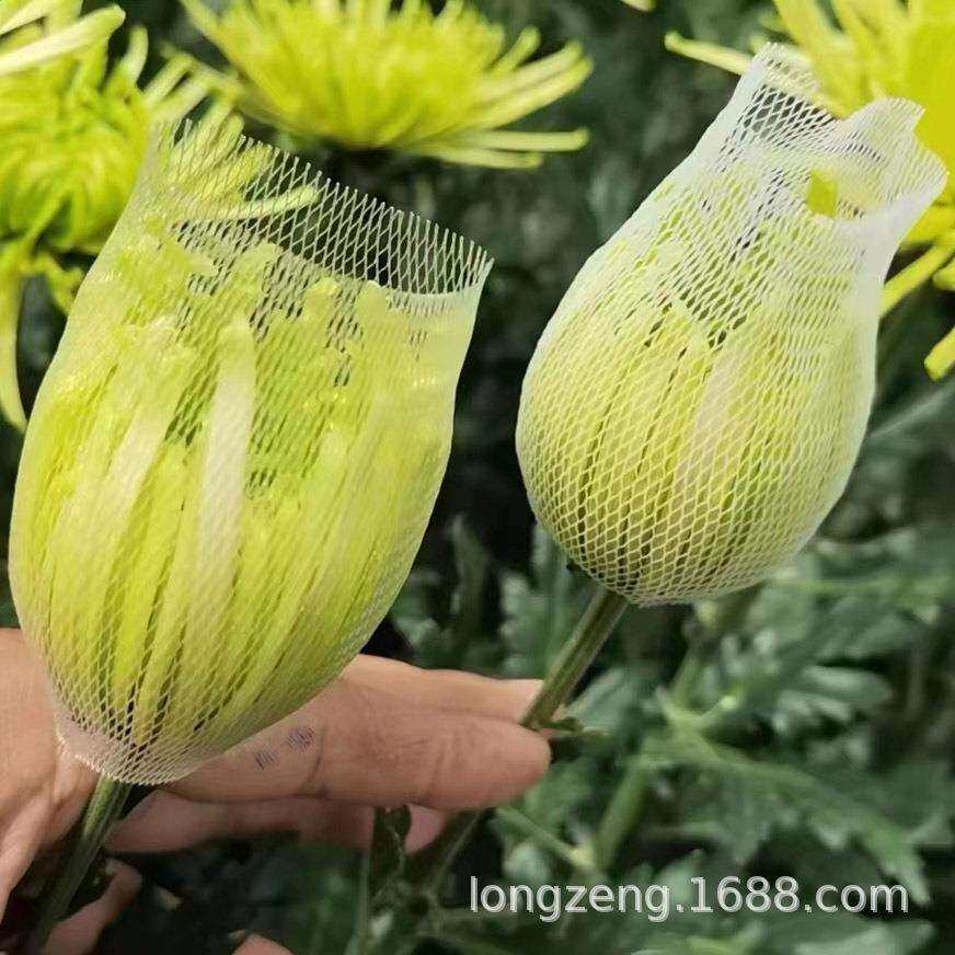 大骨朵牡丹菊保护网套波斯菊网套乒乓菊套袋网鲜切花物流包装