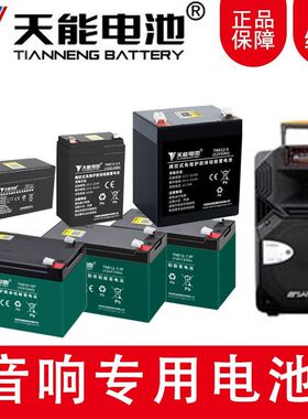 音响专用天能电池适用山水特美声万利达松川长虹曼龙贝德先科金正