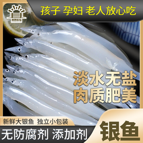桓博农场银鱼食用三白银鱼新鲜淡水辅食无刺营养钙高蛋白高6/10包