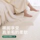 大江地毯2024新款 轻奢客厅沙发茶几垫子免洗可擦卧室床边地垫