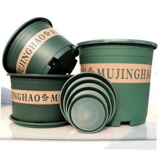More large flower pot plastic plant trees green plant POTS