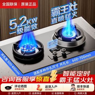 正品樱花雪直喷霸王灶10KW猛火燃气灶家用双灶全铜熄火保护天然气