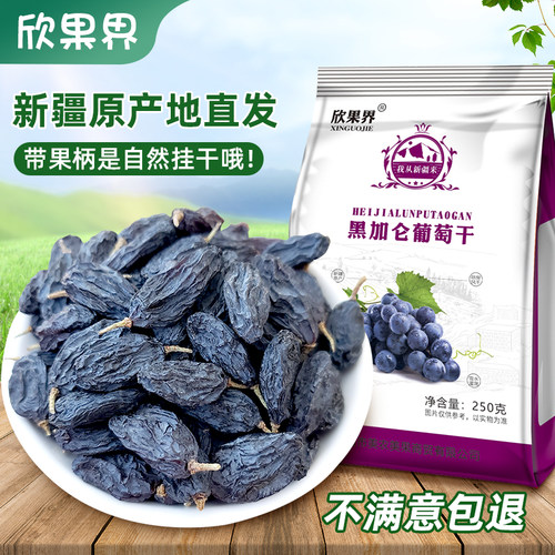 新疆特产欣果界黑加仑葡萄干
