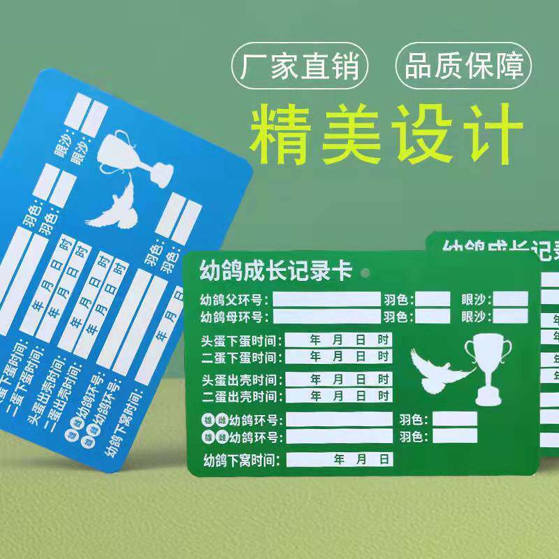 鸽子识别册幼鸽成长记录卡用品辨别卡片血统书直系幼鸽记录卡蓝绿