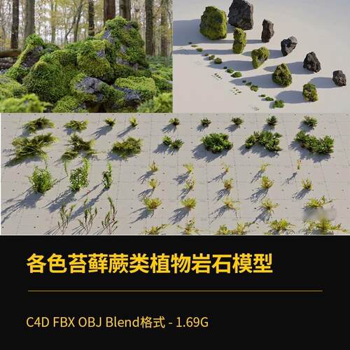 Blender苔藓蕨类植物草爬满青苔地衣石头岩石场景C4D模型FBX OBJ