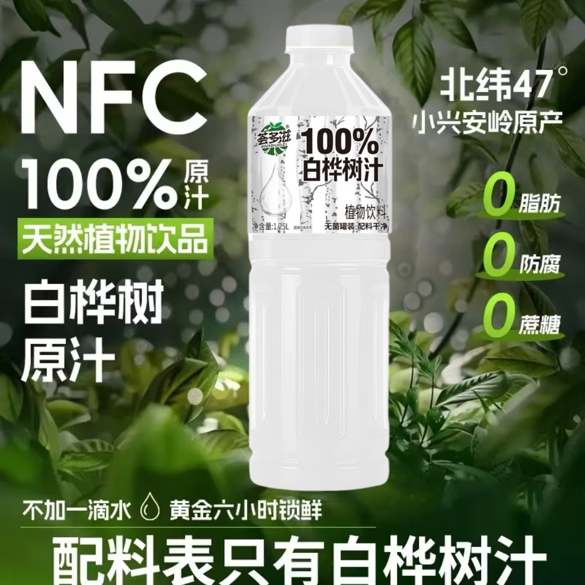 【到手2瓶】100%白桦树汁植物饮料配料干净无添加新日期整箱特价