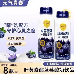 8瓶装 健康营养蓝莓酸奶268ml 富含叶黄素酯风味饮料 节日好礼