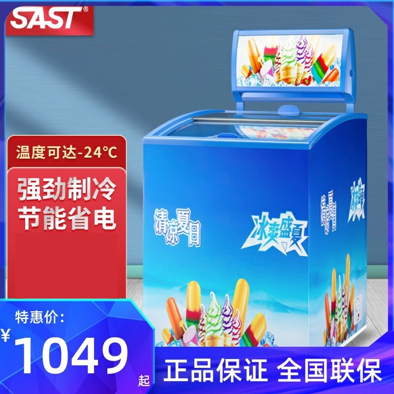 SAST/雪糕柜小型冷柜冷冻商用冰柜冰激淋商超圆弧带锁展示柜