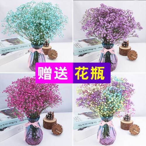 薰衣草花瓶干花花瓶素材模板 薰衣草花瓶干花花瓶图片下载 小麦优选