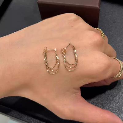 流苏耳环2025新款爆款轻奢高级感