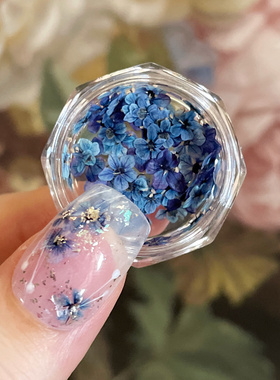 维妮的百宝箱ins日式美甲干燥花