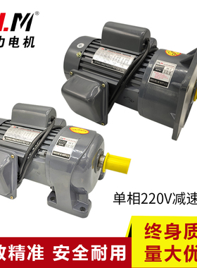 卧式CH,PL立式CV,PF三相齿轮减速电机三相380V三相220V调速马达
