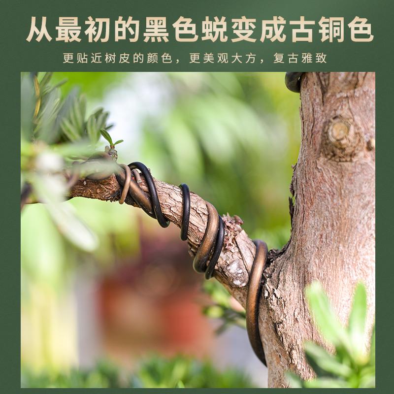 盆景造型专用铝丝铝线蟠