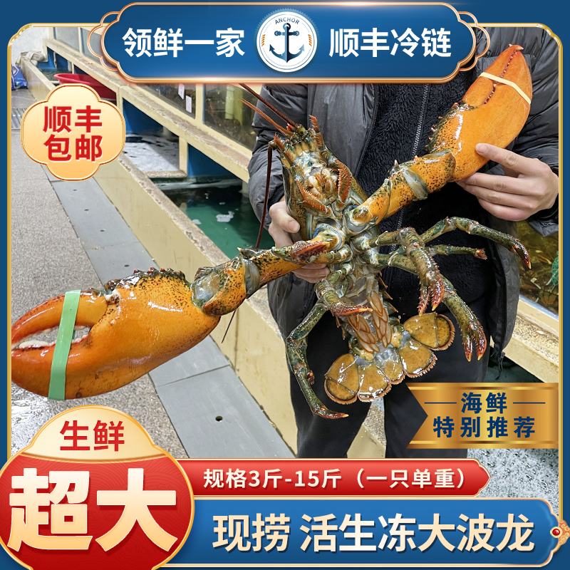 波士顿龙虾鲜活生冻波龙虾海鲜澳洲特大冷冻大龙虾3-15斤顺丰包邮
