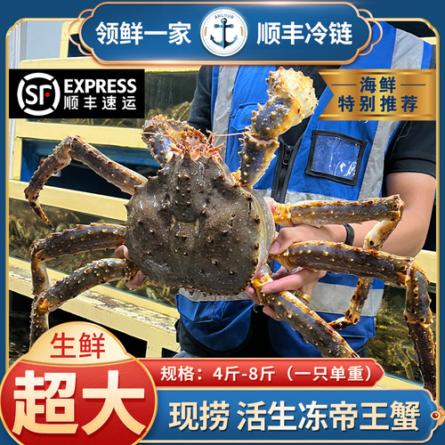 帝王蟹鲜活冷冻海鲜特大4-10斤1只水产冰鲜皇帝蟹俄罗斯帝皇蟹