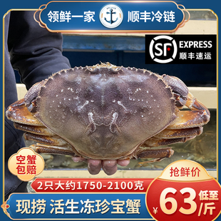 珍宝蟹鲜活生冻面包蟹冰鲜帝王蟹超大螃蟹冷冻水产海鲜活冻太子蟹