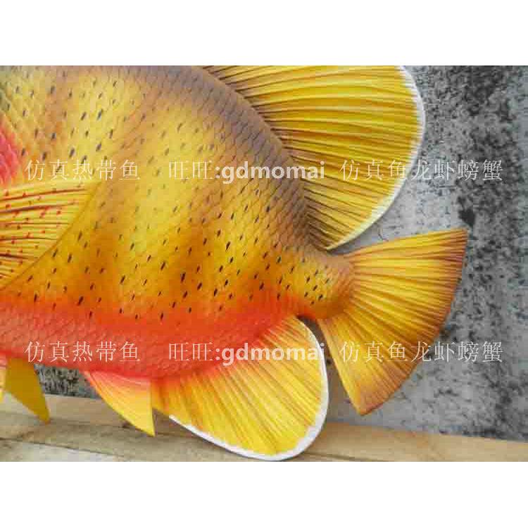 仿真海洋动物鱼缸饰品婚庆摆饰道具50cm立体鱼地中海景观装饰品