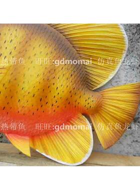 仿真海洋动物鱼缸饰品婚庆摆饰道具50cm立体鱼地中海景观装饰品