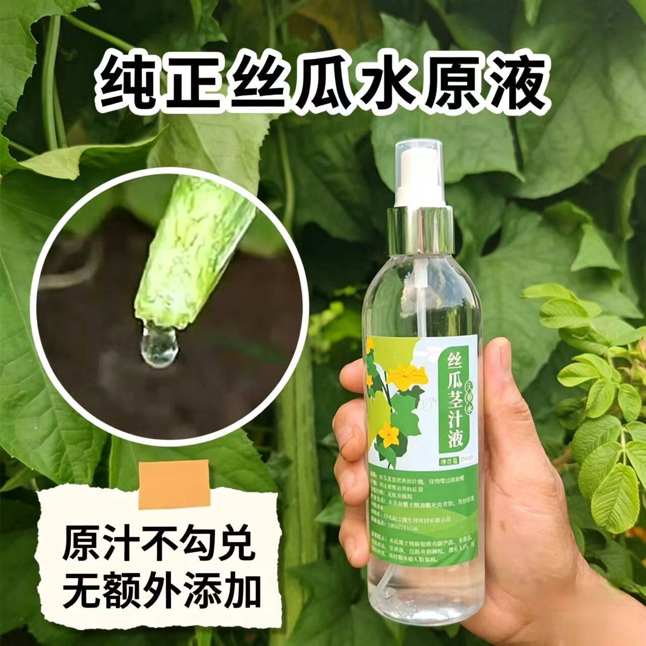 地之露丝瓜水原液农家自种自采丝瓜藤水纯天然无添加喷瓶装天萝水