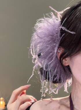 秋冬氛围感之神~紫色羽毛流苏水钻抓夹高级感洋气鲨鱼夹旅行发卡