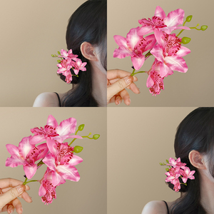 暖春花色！氛围感蕙兰发夹！高级感蝴蝶兰发饰夹子头花发卡头饰