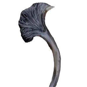 古风简约！银杏叶发簪！优雅旗袍配饰新中式簪子女盘发发钗发饰