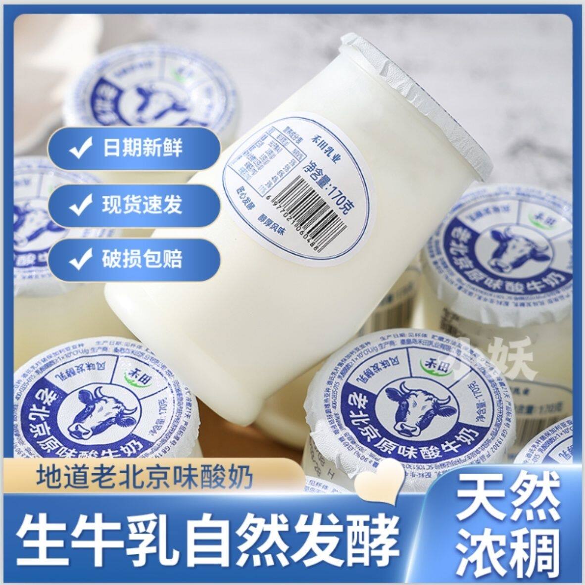 【低价抢】禾田老北京酸奶传统工艺·浓稠童年味道图片