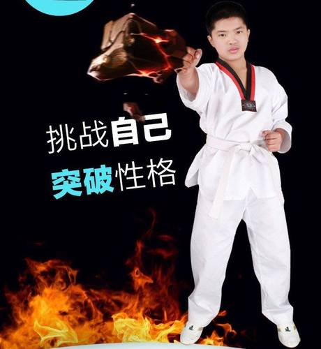跆拳道元武道价格 跆拳道元武道图片 星期三