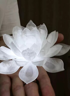 出片道具掌心莲花灯中式禅意古风
