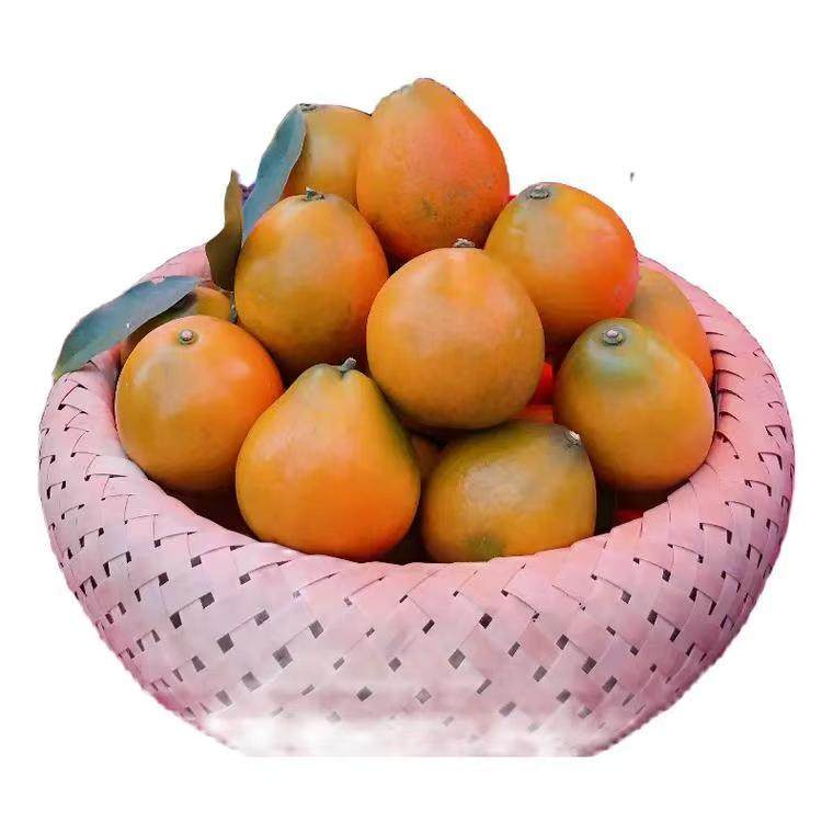 广西融安三代脆蜜金桔高次果专用链接（皮的颜色有点花和暗，口感,水产肉类/新鲜蔬果/熟食,桔子,淘宝优惠券,粉丝福利购,淘宝优惠卷