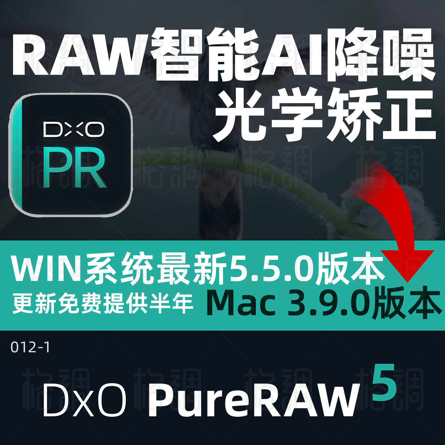 DxOPureRAW5.5.0中文版