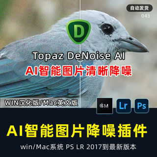 PS 降噪插件 Topaz DeNoise AI 3.7.2 一键照片去噪点滤镜WIN MAC